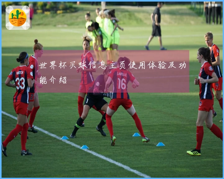 世界杯买球信息主页使用体验及功能介绍