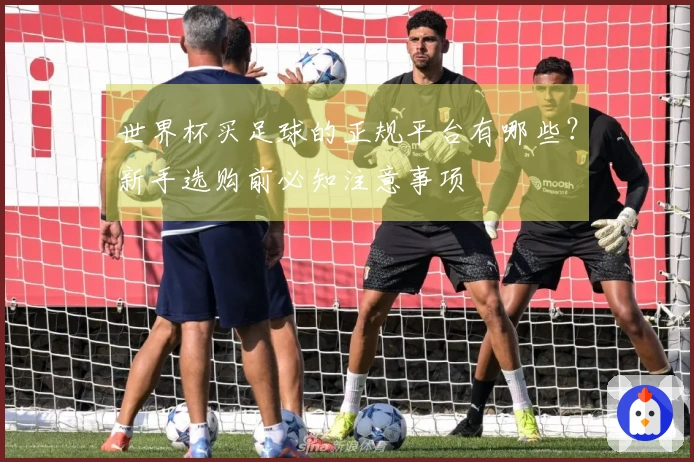 世界杯买足球的正规平台有哪些？新手选购前必知注意事项