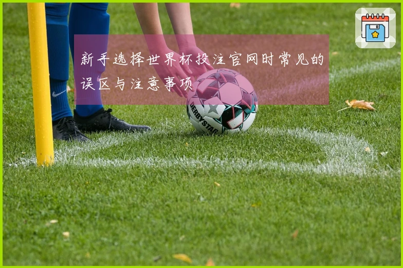 新手选择世界杯投注官网时常见的误区与注意事项