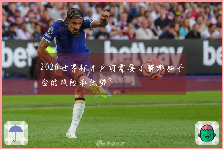 2026世界杯开户前需要了解哪些平台的风险和优势？