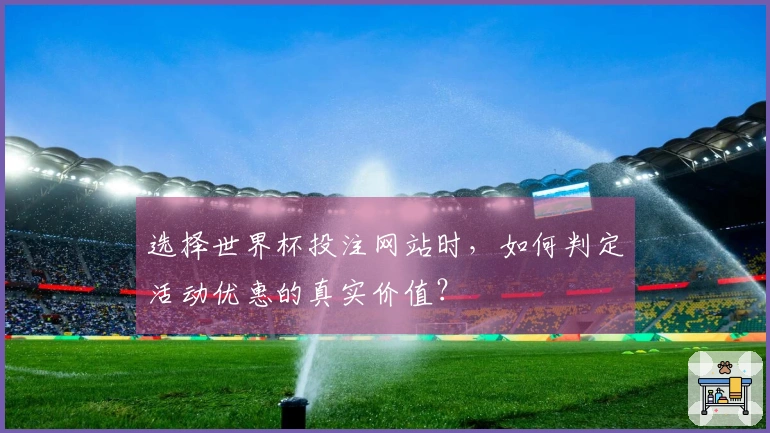 选择世界杯投注网站时，如何判定活动优惠的真实价值？