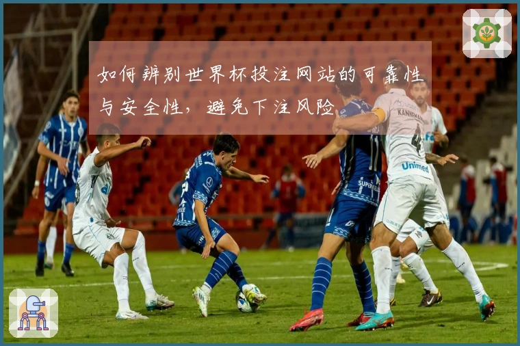 如何辨别世界杯投注网站的可靠性与安全性，避免下注风险