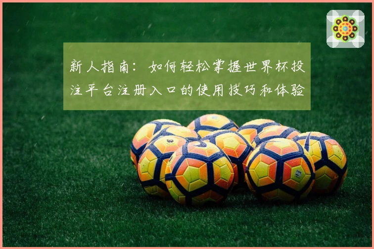 新人指南：如何轻松掌握世界杯投注平台注册入口的使用技巧和体验分享