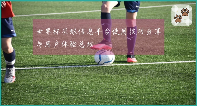 世界杯买球信息平台使用技巧分享与用户体验总结