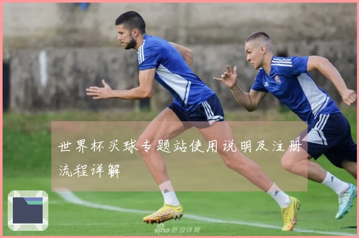 世界杯买球专题站使用说明及注册流程详解