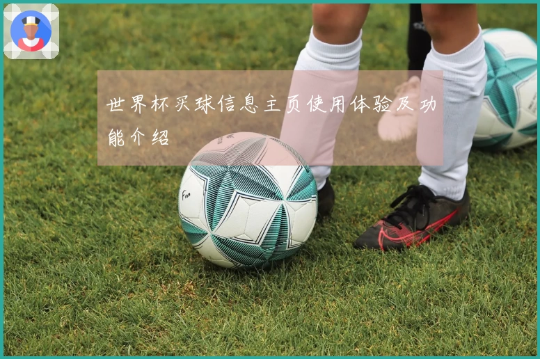 世界杯买球信息主页使用体验及功能介绍