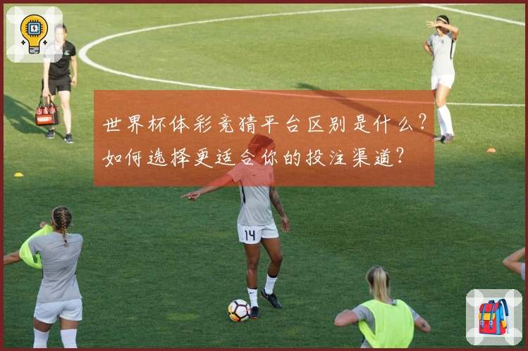 世界杯体彩竞猜平台区别是什么？如何选择更适合你的投注渠道？