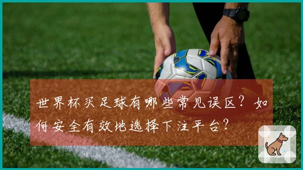 世界杯买足球有哪些常见误区？如何安全有效地选择下注平台？