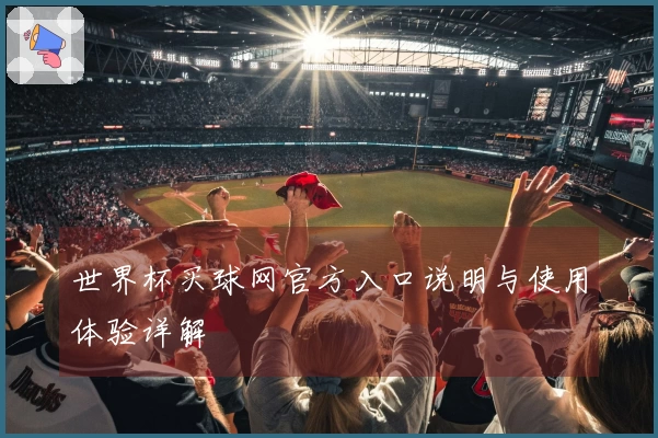 世界杯买球网官方入口说明与使用体验详解