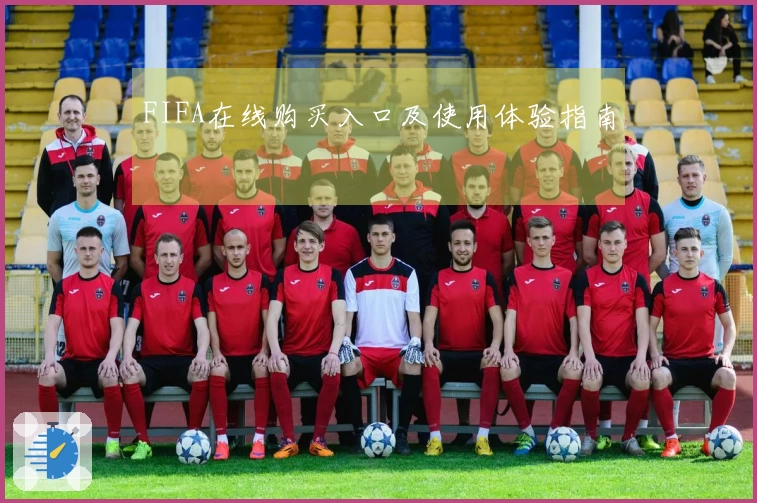 FIFA在线购买入口及使用体验指南