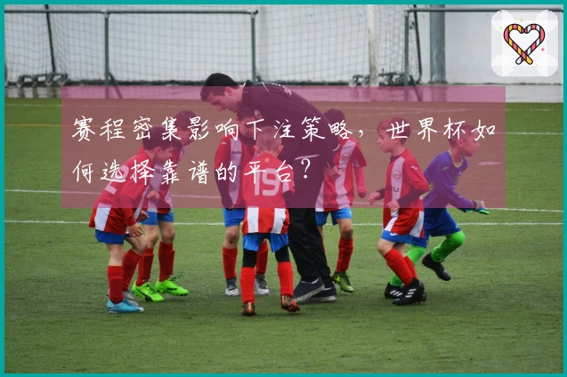 赛程密集影响下注策略，世界杯如何选择靠谱的平台？