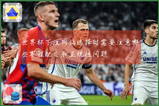 世界杯下注网站选择时需要注意哪些赛程配合和正规性问题