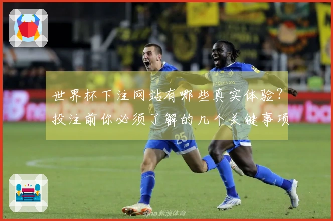 世界杯下注网站有哪些真实体验？投注前你必须了解的几个关键事项