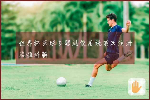 世界杯买球专题站使用说明及注册流程详解