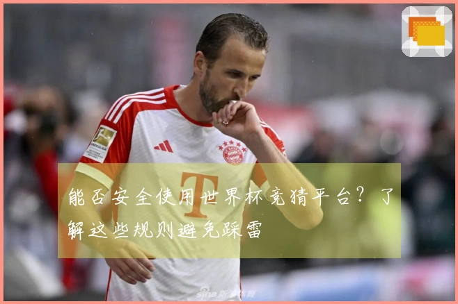 能否安全使用世界杯竞猜平台？了解这些规则避免踩雷