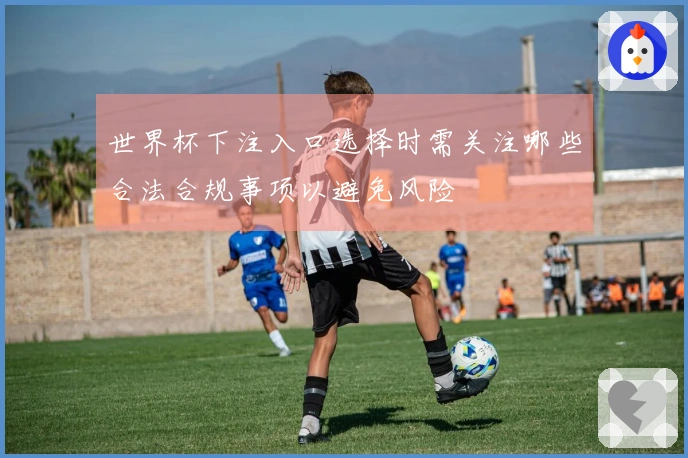 世界杯下注入口选择时需关注哪些合法合规事项以避免风险