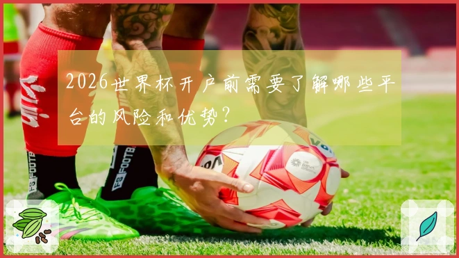 2026世界杯开户前需要了解哪些平台的风险和优势？