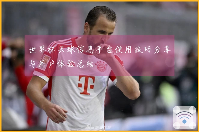 世界杯买球信息平台使用技巧分享与用户体验总结